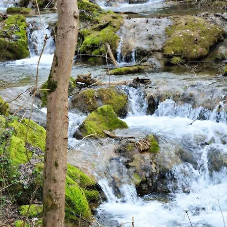 Апартаменты Smestaj Durungara Jovic *