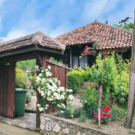 Апартаменты Smestaj Durungara Jovic Петровац-на-Млави